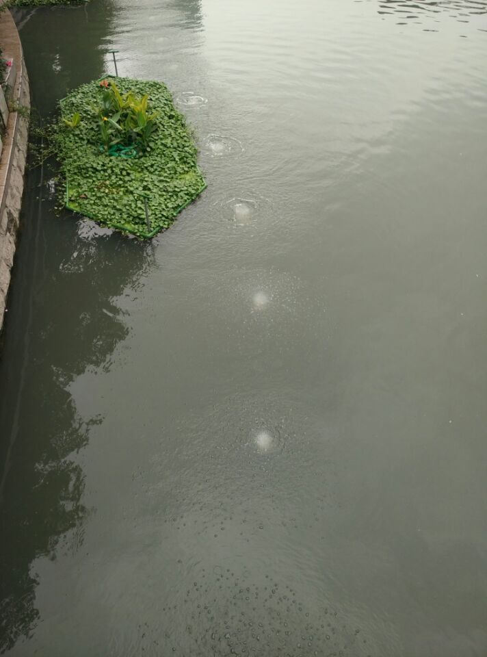 龍鐵沉水式鼓風機廠家 龍鐵沉水式鼓風機廠家