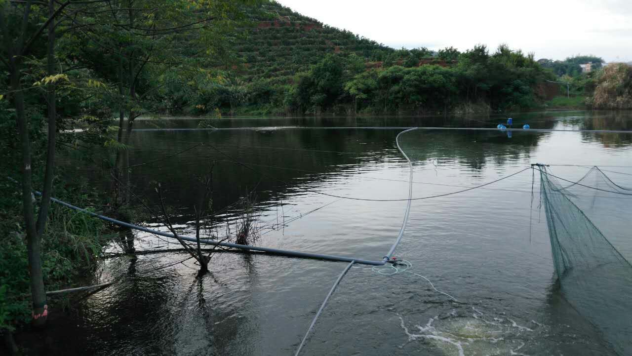 微孔曝氣增氧機(jī) 微孔曝氣增氧機(jī)
