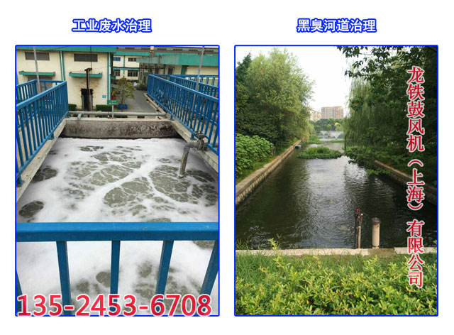 污水處理鼓風機實用案例 污水處理鼓風機實用案例