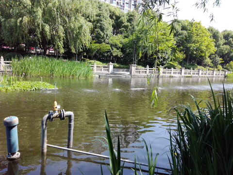 沉水風機案例1 沉水風機案例1