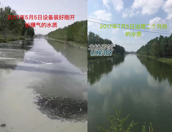 沉水風機治理前后對比圖 沉水風機治理前后對比圖