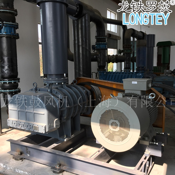 建湖羅茨鼓風機龍鐵.jpg 建湖羅茨鼓風機龍鐵.jpg