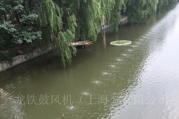 景觀水處理河道.jpg 景觀水處理河道.jpg