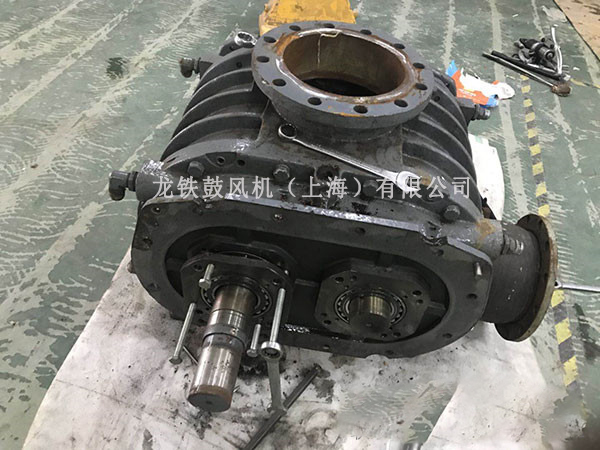 2019053139769401.jpg 2019053139769401.jpg