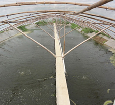 魯氏污水處理成功案例 魯氏污水處理成功案例