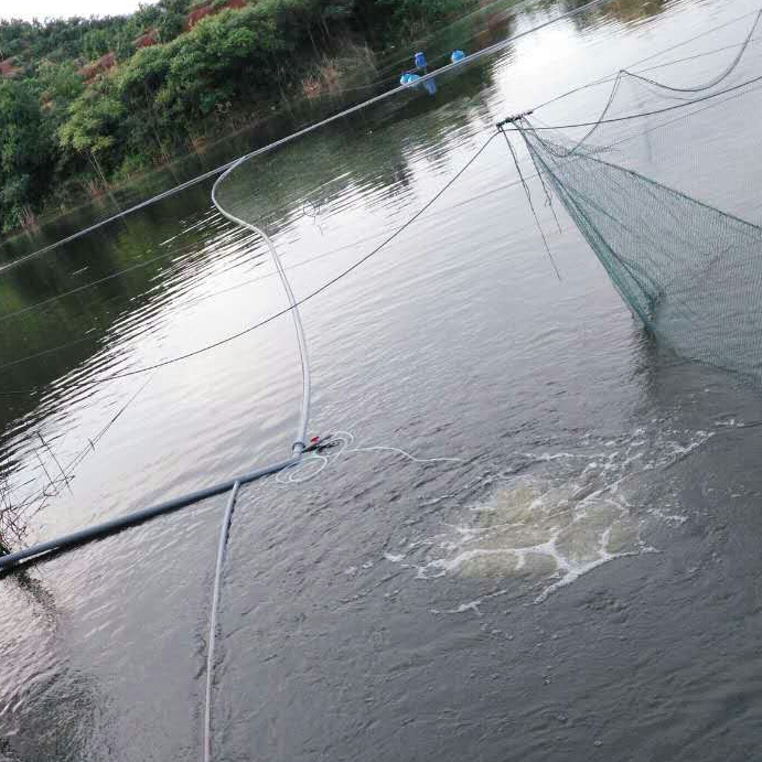 微孔曝氣增氧機養殖戶使用現場 微孔曝氣增氧機養殖戶使用現場