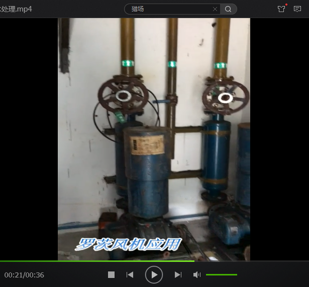 應(yīng)用于醫(yī)院污水處理的羅茨鼓風(fēng)機(jī)維修 應(yīng)用于醫(yī)院污水處理的羅茨鼓風(fēng)機(jī)維修