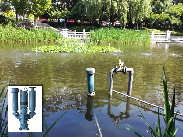 沉水風機-意外的驚喜 沉水風機-意外的驚喜