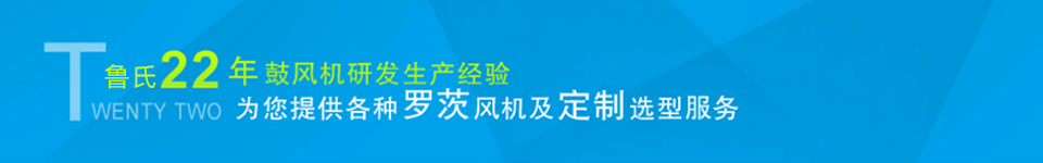 龍鐵鼓風(fēng)機(jī)--中國羅茨鼓風(fēng)機(jī)供應(yīng)商 龍鐵鼓風(fēng)機(jī)--中國羅茨鼓風(fēng)機(jī)供應(yīng)商